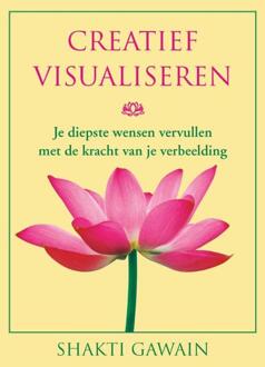 Creatief Visualiseren - (ISBN:9789020216943)