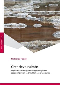 Creatieve ruimte - Boek Michiel de Ronde (9051799373)