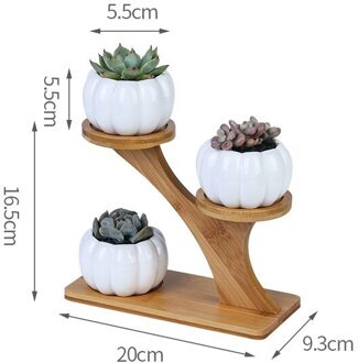 Creatieve Vetplant Planken Bloem Display Stand Bamboe Frame Keramische Bloempot Plant Lade 3