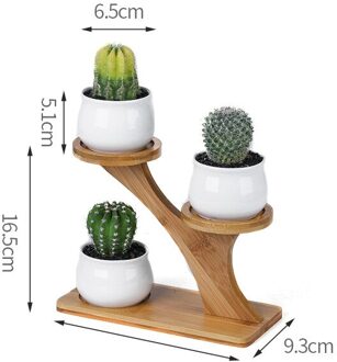Creatieve Vetplant Planken Bloem Display Stand Bamboe Frame Keramische Bloempot Plant Lade 4