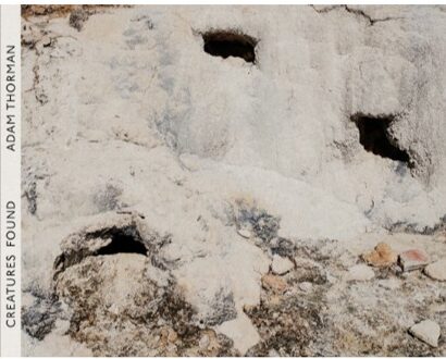 Creatures Found - Adam Thorman