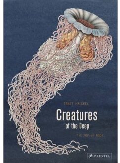 Creatures of the Deep the Pop-Up Book