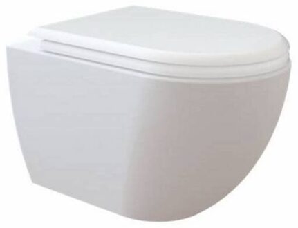 Creavit Design Hangend Toilet - 35.3x51cm - RVS Bidetsproeier - verborgen bevestiging - wit FE320-00CB00E-0005