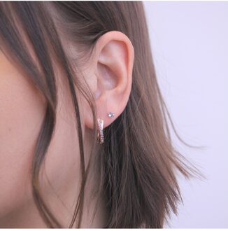 Criss oorbellen - Oostenrijks kristal - maat Wit en roségoud