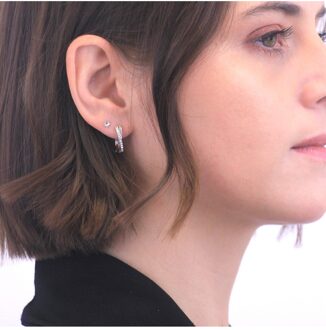 Criss oorbellen - Oostenrijks kristal - maat Wit Zilver