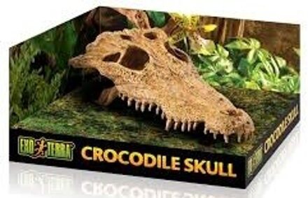 Crocodile Skull - Terrarium Schuiplaats - 22 x 12 x 7 cm