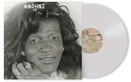 Cross My Back Was A Bridge For You To Cross - Anohni And The Johnsons