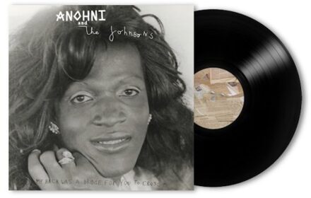Cross My Back Was A Bridge For You To Cross - Anohni And The Johnsons