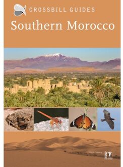 Crossbill Guide Southern Morocco - Crossbill Guides - Martin Pitt