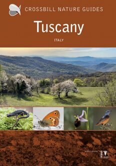 Crossbill Guide Tuscany - Crossbill Guides - Graham Chisholm