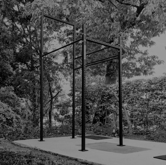 Crossfit Outdoor RIG V8