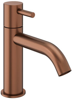 Crosswater MPRO Fonteinkraan - geborsteld brons PRO119DNBZ Brons geborsteld