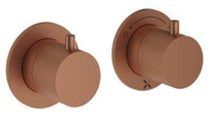 Crosswater MPRO Module Douchekraan - 2 functies - brons geborsteld PROMODDIVLBPBZ Brons geborsteld gecoat