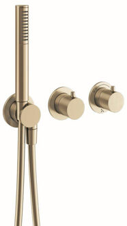 Crosswater MPRO Module Douchekraan - inbouwdeel 2 functies - handdoucheset - messing geborsteld PROMOD1701TRIMF Messing geborsteld (goud)