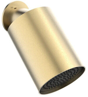Crosswater Tranquil hoofddouche - 1 stand - geborsteld messing FH341F Messing geborsteld (goud)