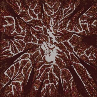 Crown Shyness (LP)