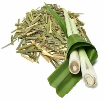 Crushed Lemon grass leaves