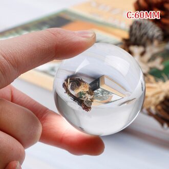 Crystal Ball Grote Transparante Kristallen Bol Geluk Regenboog Foto Kristal Bal