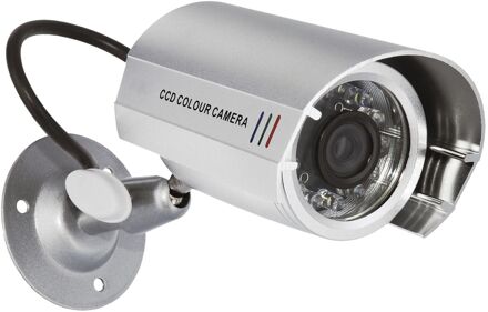 CS22D dummycamera