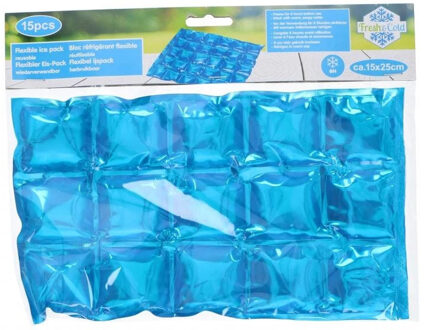 Cuisine Elegance Flexibele Koelelementen / icepacks - 2x - plat - herbruikbaar - 15 x 25 cm