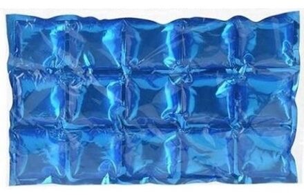 Cuisine Elegance Flexibele Koelelementen / icepacks - 4x - plat - herbruikbaar - 15 x 25 cm