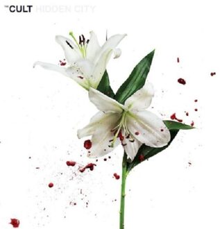 Cult - Hidden City