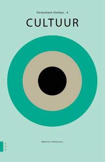 Cultuur - Boek Babette Hellemans (9089646043)