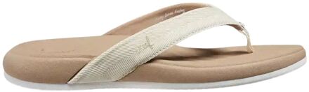 Cushion Harmony Beige - 36.5