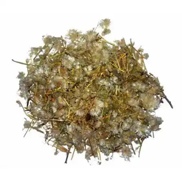 Cut Bloodthirsty Flowers