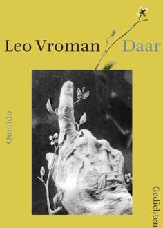 Daar - Boek Leo Vroman (9021440253)