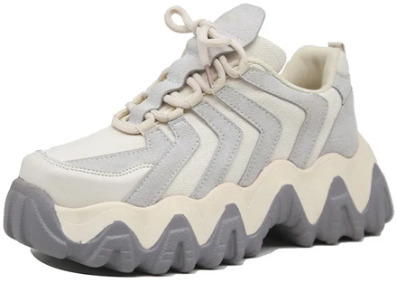 Daddy Shoes Female Ins Tide Spring Korean Version Wild Harajuku Ulzzang Platform Sneakers Patchwork Sewing Mesh Shoes Women EVA