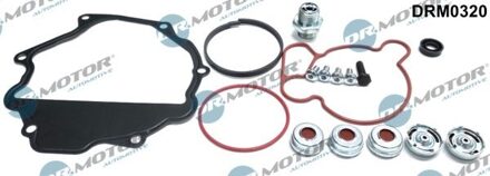 Daewoo Reparatieset, onderdrukpomp (remsysteem) DRM0320