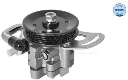 Daewoo Servo pomp 29146310007