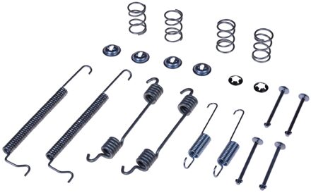 Daewoo Toebehoren, remschoen