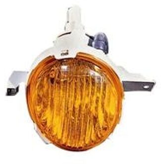 Daewoo VOORKNIPPERLICHT RECHTS vanaf '01 ORANJE