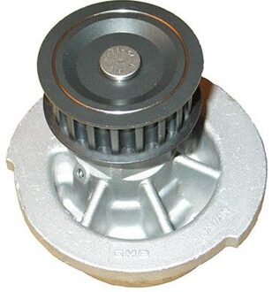 Daewoo Waterpomp DW1002