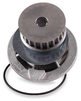 Daewoo Waterpomp P398