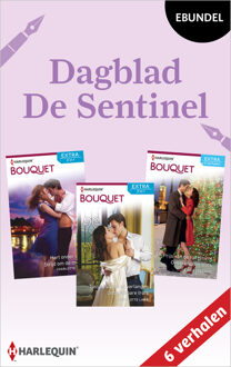 Dagblad De Sentinel -  Charlotte Lamb (ISBN: 9789402574388)
