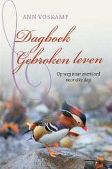 Dagboek Gebroken Leven - (ISBN:9789051945591)
