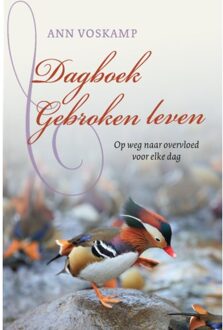 Dagboek Gebroken Leven - (ISBN:9789051945591)