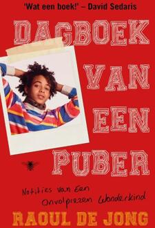 Dagboek van een puber - Boek Raoul de Jong (9403110902)