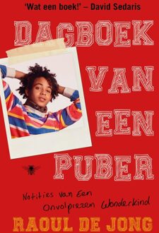Dagboek van een puber - eBook Raoul de Jong (9403111003)