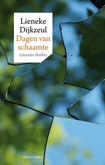 Dagen van schaamte - eBook Lieneke Dijkzeul (9026337167)