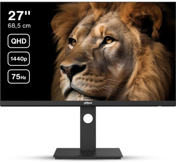 Dahua DHI-LM27-P301A Ledmonitor