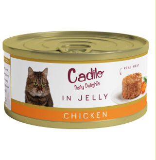 Daily Delights - kip in gelei - natvoer kat (70 g) 2 verpakkingen (12 x 70g)