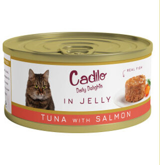 Daily Delights - tonijn met zalm in gelei - natvoer kat (70 g) 1 verpakking (6 x 70g)
