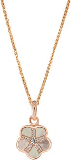 'Daisy' Dames 925 Zilveren Set: Ketting + Oorbellen + Ring - Roze SET-7585/RG Rosé