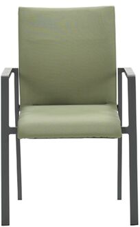 Dallas dining fauteuil carbon black/ moss green Grijs