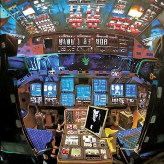 Damaged Bug - Hubba Hubba