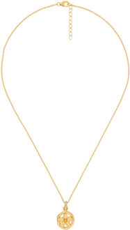Dames 925 Sterling Zilveren Ketting met Hanger - Goud ZH-6029/1